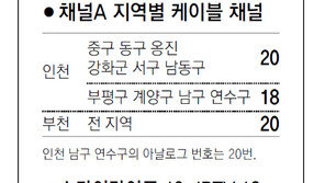 [인천/경기]채널A 지역별 케이블 채널