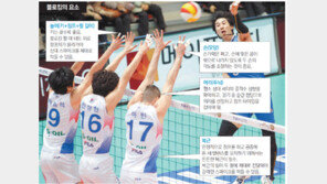 [프로배구]철벽 블로킹? ‘높이-두뇌-복근-손모양’ 네박자에 달렸다