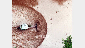 본보 사진부 장승윤 기자, 보도사진상 두 부문 최우수상