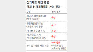 정개특위 선거개혁, 결국 말잔치로 끝났다