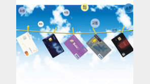 [Money&Life]월급은 적고 쓸 곳은 많고… 특화된 카드로 ‘새내기 재테크’ 하세요