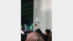 태극기 흔드는 케이팝 팬, 한류스타 국위선양 일등공신