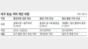 [대구/경북]대구 도심 도로 개성을 입는다