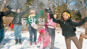 [강원]남이섬, 추위를 팝니다