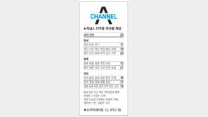 [강원][대전/충남][충북]채널A 지역별 케이블 채널