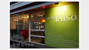 [우먼 동아일보 맛집 구경] 색다른 별미! 예쁜 퓨전 떡 카페 CAFE’ JAISO