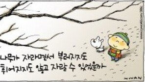 [386c]<3004> 가지 Branches 