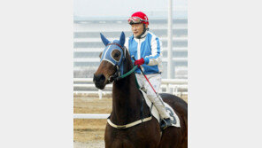 계약기수가 대세! 프리는 이제 그만