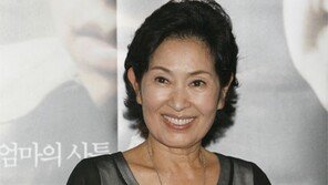 ‘국민 엄마’ 김혜자도 세금 탈루