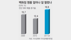 중산층 지갑까지 연 명품… 작년 매출 19%↑