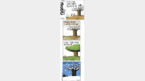 [386c]<3005>큰나무 한그루