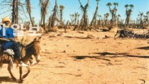 3000년전 중앙아프리카 열대우림 누가 없앴을까