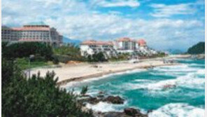 [그린에서]대명리조트 外