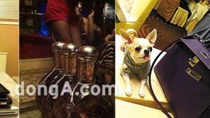 중학생 돈자랑에 기겁! “아이폰 너무 많아~ 한 대 부숴야지!”