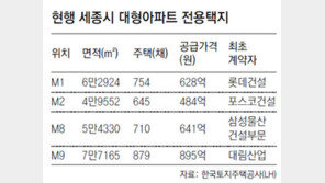 세종시 ‘초대형 아파트의 굴욕’
