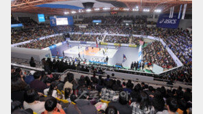 “힘내라 V리그”…팬들은 배구를 응원했다