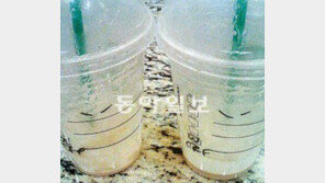 이번엔 스타벅스 컵에 ‘찢어진 눈’