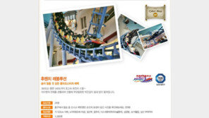 놀이기구 대피 소동 “놀이기구 탈 때 목숨 걸어야 돼?”