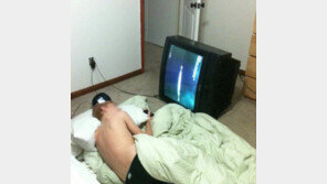 ‘누워서 TV 보는 법’ 화제… “따라 하고 싶진 않네~”