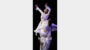 [공연 리뷰]4人4色 에너지, 대극장을 감싸다