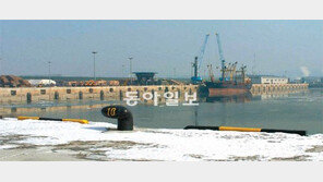 [인천/경기/이슈 점검]공멸 위기에 빠진 ‘북항 목재업체들’