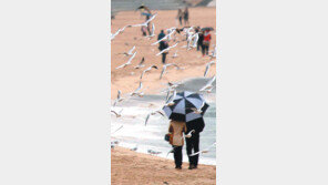 [부산/경남]겨울비 우산속에