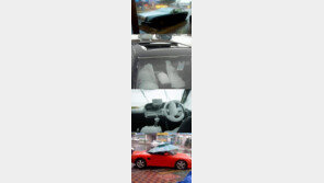 ‘오픈카의 최후’ 폭소… “주인 마음은 찢어질 듯?”