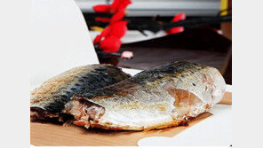 귀찮은 생선구이 2분이면 끝 “어떻게?”