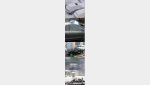 ‘오픈카의 최후’ 웃음폭탄 사진 더 찾아보니…