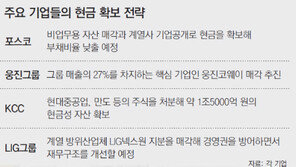“현금 챙겨라” 기업들 실탄 비축전… 왜?