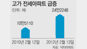 ‘고가 전세 아파트’ 서울 24만여채