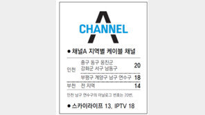 [인천/경기]채널A 지역별 케이블 채널