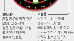 “다트는 오락 아닌 스포츠”