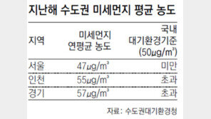 비염-천식 유발 미세먼지 농도… 인천-경기 기준치 넘었다