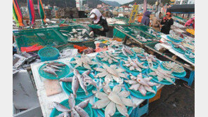 [부산/경남]꾸덕꾸덕… 해풍에 익어가는 겨울맛