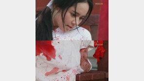 ‘해품달’ 한가인 대역거절, “고문 신 직접 연기 후 탈진”