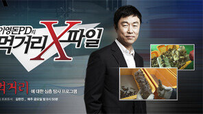 [채널A] 케이크에 들어간 생크림 100% 우유 아냐?