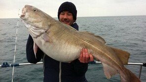 첫 낚시에 20kg짜리 ‘괴물 대구’ 낚은 행운의 사나이!… “맛은 없을 듯”