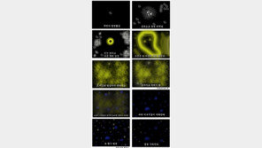자고 일어났을 때 공감, “경험해 보고 싶은 사람들 방법은…”
