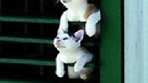 옆집에 생선 굽나 봐, “그러게 고등어인 것 같다” 폭소!