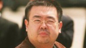 김정남 돈없어 호텔서 쫓겨나…동생 험담한 죄?