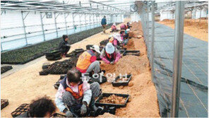 [이제는 공존이다]수십 배의 가치 만들어내는 사회적 기업 확대