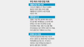 ‘大權 역풍’에 놀란 푸틴, 反美 깃발 치켜들다