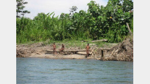 ‘인간 본연의 태초 모습 그대로…’, 아마존서 원시부족 또 발견!