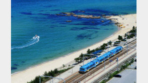 [허영만의 ‘자전거 식객’] 가족·연인 사랑 싣은 낭만열차