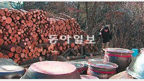 귀농한 12가구의 자연 사랑