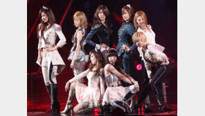 소녀시대 합성 누드사진 유포자는 50대 공무원