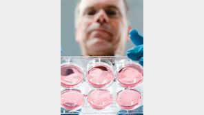 동물 안죽여도 되는 ‘줄기세포 햄버거’ 맛은?