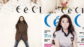 소희, 무보정 극세사다리 ‘걸그룹 최강’