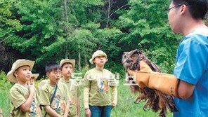 초중고 주5일수업 전면 실시… 토요일마다 뭐하지? 에듀테인먼트!